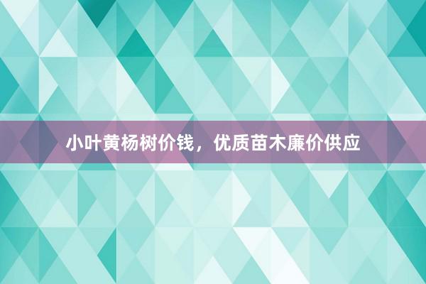 小叶黄杨树价钱，优质苗木廉价供应